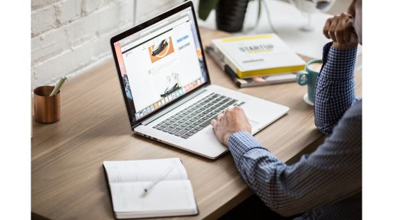 Why do merchants need to establish their own online shopping mall?